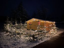 IMG-20211129-WA0001